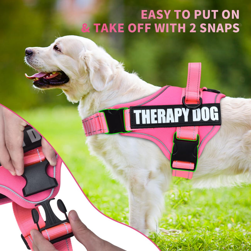 Dog Vest Harness and Leash Set, Animire Reflective Service Dog Vest with 10 Patches, 3 Rings No Choke Pet Vest for Leash Placement, in Training Dog Harness for Small Medium Large Dogs(Hot Pink,M) Medium(Chest: 18-25 Inch) Hot Pink - PawsPlanet Australia