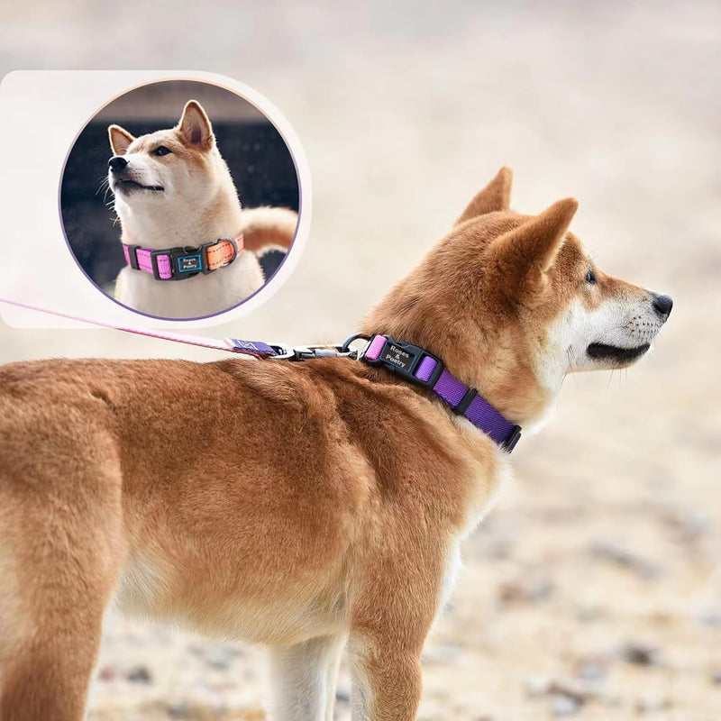 Roses&Poetry Reflective Dog Collar and Leash Set, Purple Martingale Dog Collar and Leash for Medium Dogs, Adjustable Durable Nylon Pet Collars with Leashes for Walking,Playing,Training（Mistyrose-M） Mistyrose