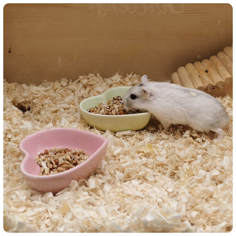 Ceramic Hamster Food Bowl, 1.2oz Durable Heart Hamster Water Dish for Hamsters/Birds/Snakes/Turtle, Easy to Wash and Prevent Tipping (Pink, 1pcs) 1pc Pink - PawsPlanet Australia