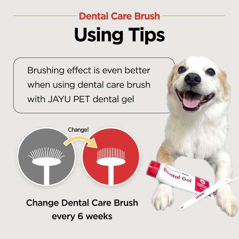 JAYU PET Dental Care Brush (Soft Bristles) 3ea - Dog Toothbrush, Cat Toothbrush, Dental Care for Kitten and Small Dogs, Removing Old Plaque and Tartar, Cat Teeth Brushing & Easy Cleaning Soft Bristles 1 Count (Pack of 3) - PawsPlanet Australia