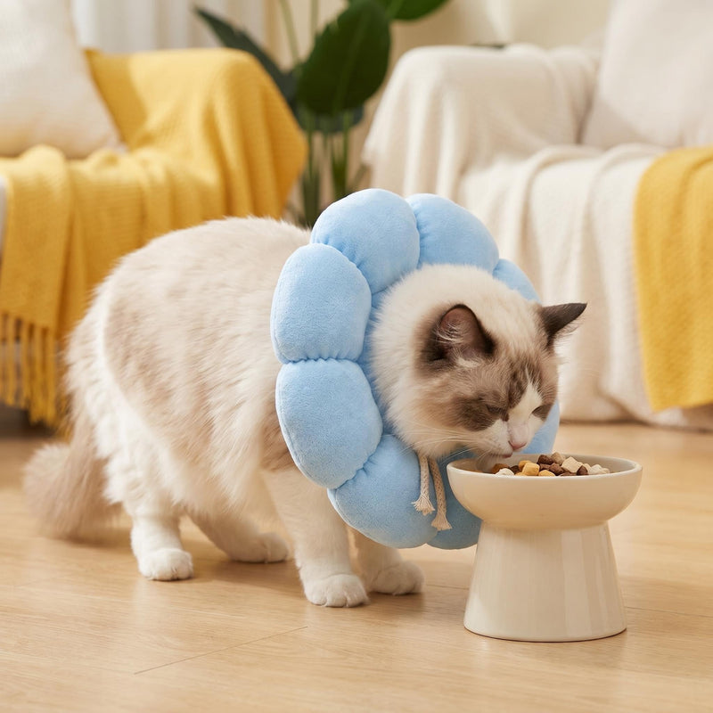 Cat neck brace, soft cat neck brace, lick protection for cats, soft dog neck brace, adjustable cat collar for small dogs & cats (blue) Blue