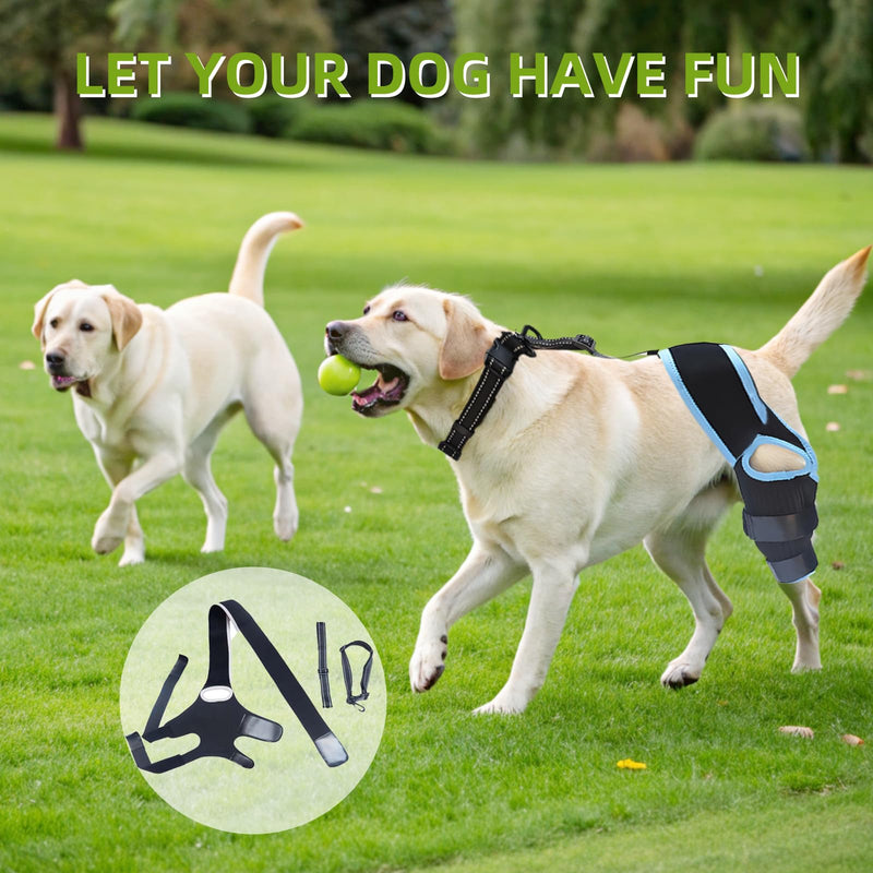 Dog ACL Brace with 10 Upgraded Support Chains - Provides Extra Support for Hind Leg, Torn ACL, and Joint Injuries - Adjustable & Comfortable Wrap for Canine Knee, Hock, and Ankle(Blue M Size)