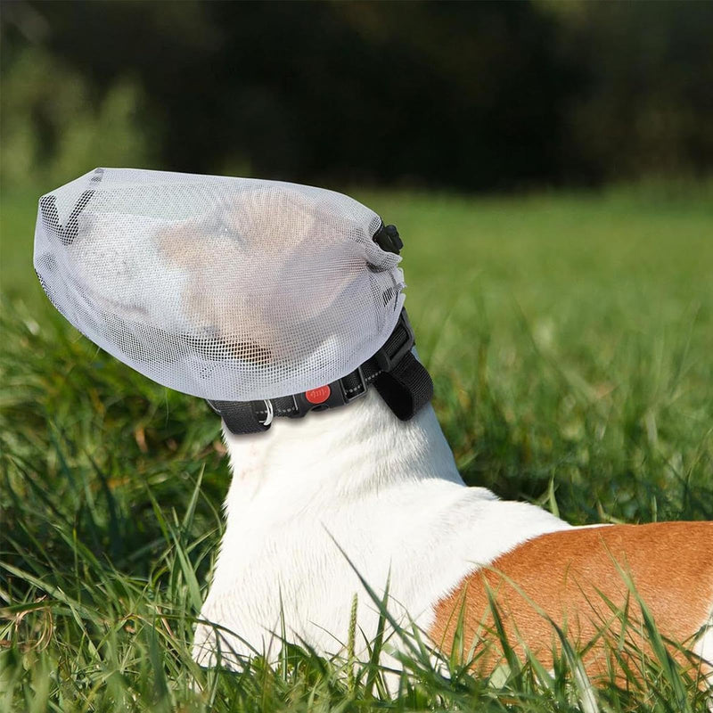 Field protection for dogs | Safety hood for dog tail during hikes | Breathable mesh protective hood for puppies and Chihuahuas on farmland against thorns, stones, and grass during picnics, hiking, and hunting.