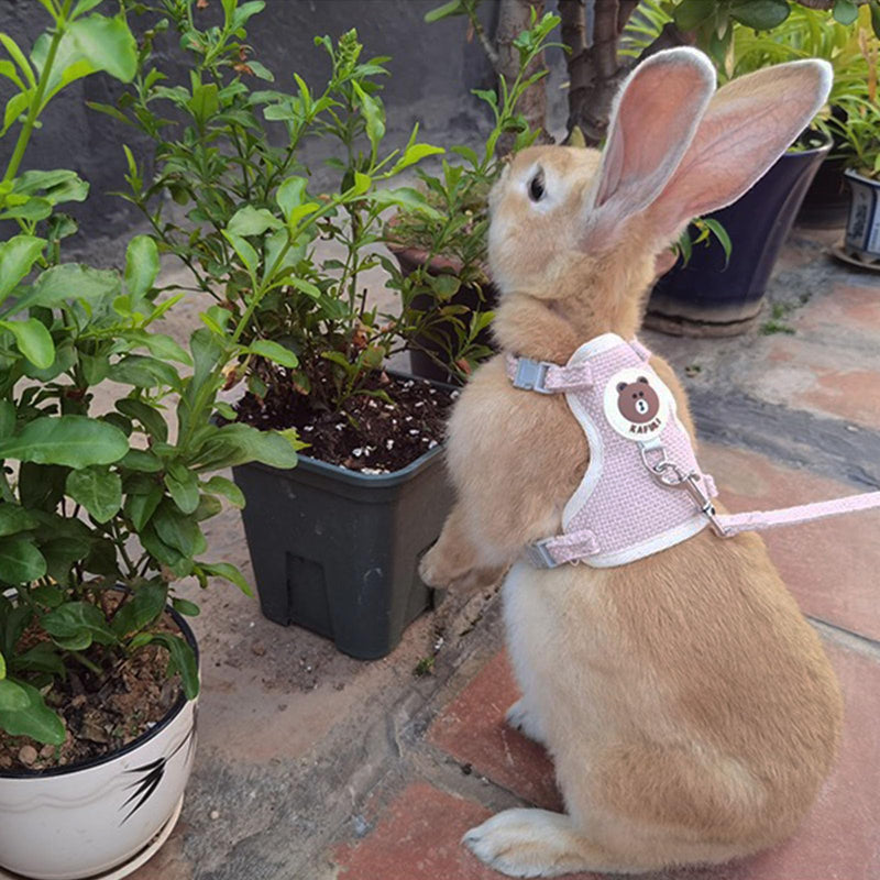 Rabbit Harness and Leash Set 2 Pieces Adjustable Bunny Harness Leash Ferret Harness Guinea Pig Harness Ferret Leash for Small Pets Walking Outdoor (Pink, Small) Pink - PawsPlanet Australia