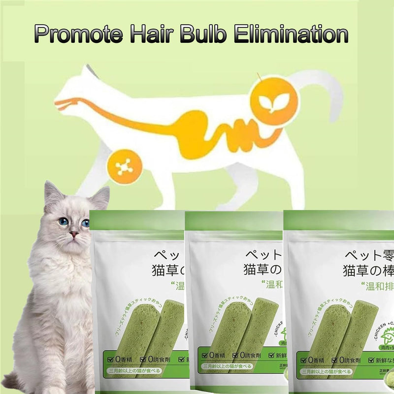 New Cat Grass Teething Stick,18PCS Cat Grass Chew Sticks,Cat Teeth Cleaning, Cat Grass Sticks, Cat Grass Chew Sticks Molar Rod for Cat Indoor,for Hairball Removal - PawsPlanet Australia
