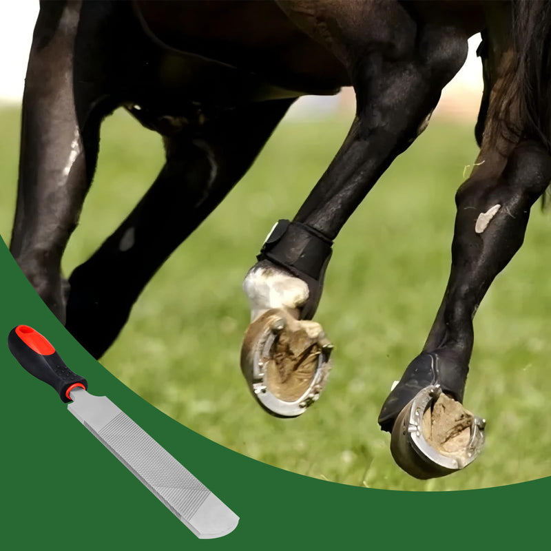 12 Inch Hoof Rasp, Carbon Steel Farrier File Tool, Trimming Tool Horse Rasp with Handle, Suitable for Horse Donkey Cow Goat Animal Hooves 12 inches