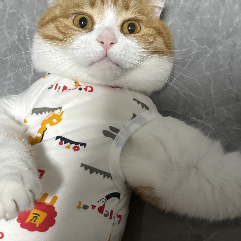 2 Pack Breathable Cat Recovery Suit,Cat Post-Surgery Bodysuit for Kittens After Surgery,Bodysuit for Spayed Female Kittens for Post-Surgery Abdominal Wounds Skin Disease Protection
