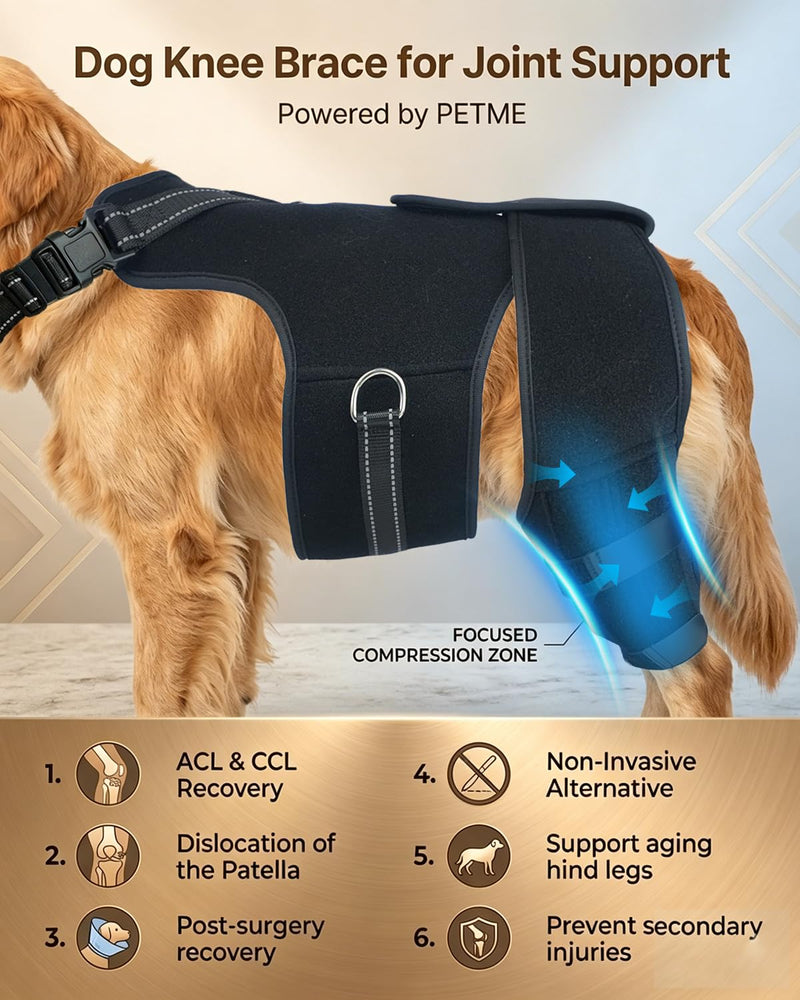 2-in-1 Dog Knee Brace and Lift Harness, Adjustable Back Leg Support with Stabilizers for ACL Recovery & Joint Care, Dog Sling for Hind Legs, Mobility Aid for Elderly Dogs with Luxating Patella (M) M