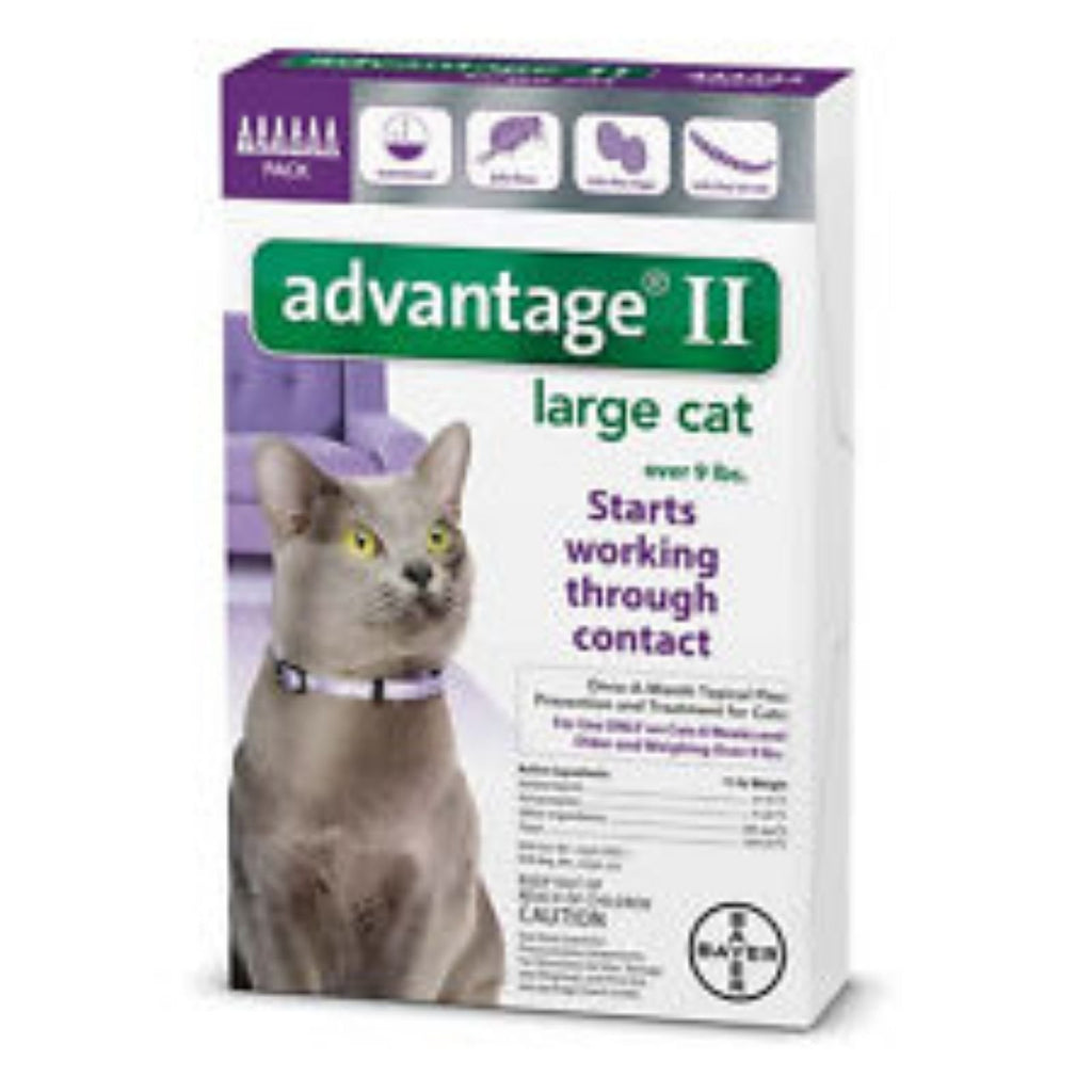 Advantage Flea Control for Cats and Kittens Over 9 lbs 6 Month Supply