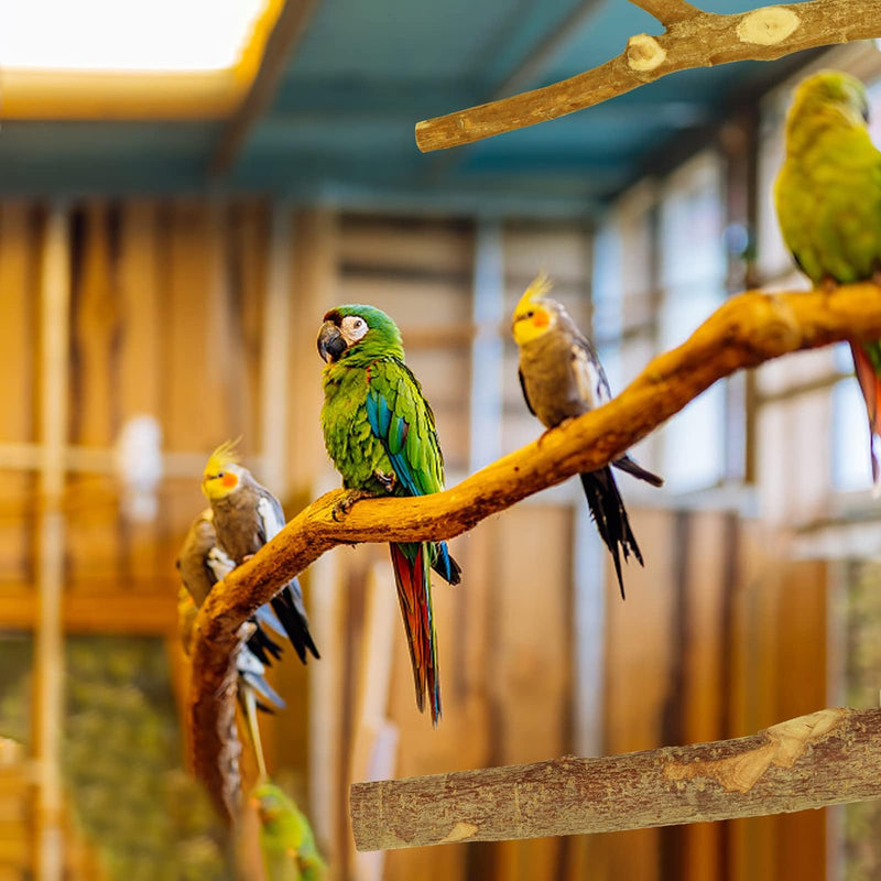 Natural Wood Bird Perches for Cage, Parrot Perch Stand & Platform, Bird Cage Accessories for Parakeets, Cockatiels, Conures, Lovebirds (Brown, Core Perch & Platform - 8PCS) brown - PawsPlanet Australia