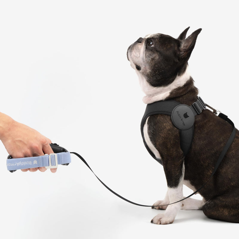 Ultra Comfortable Dog Harness Adjustable Soft Dog Vest, Alloy Buckle Closure Lightweight Stretchy Puppy Harness Step in for Small Sized Dogs Walking Training (Linen, XXS 11.8-12.6") Linen XXS 11.8-12.6" - PawsPlanet Australia