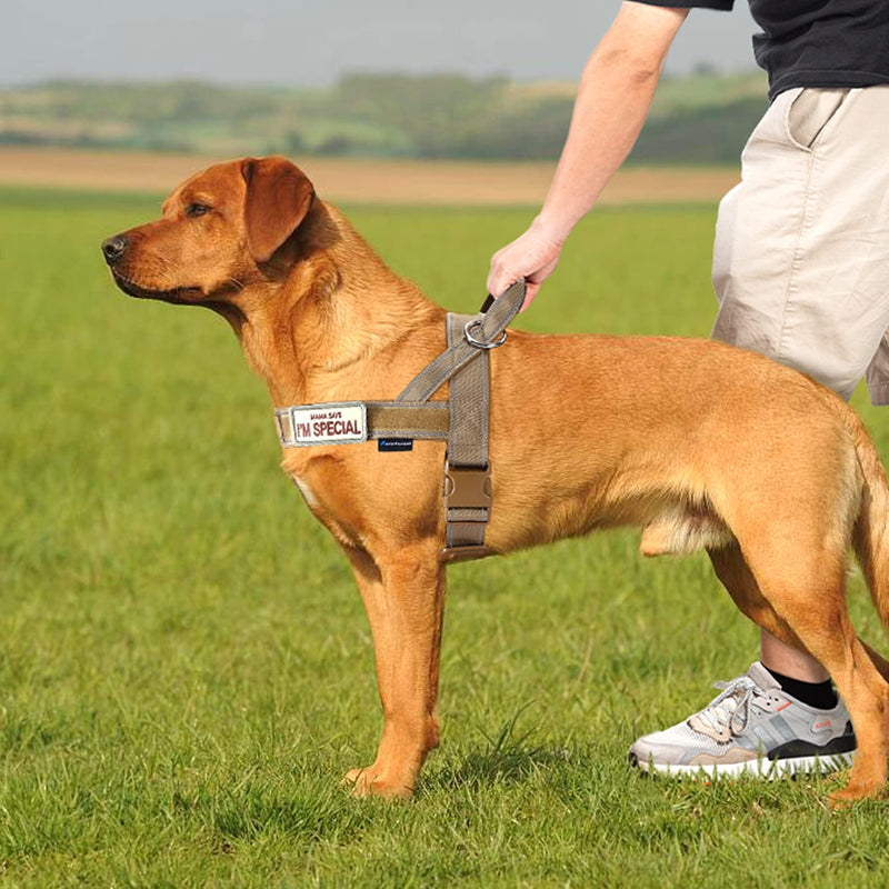 Annchwool No Pull Dog Harness with Soft Padded Handle(Brown XL)+Tactical Dog Collar for Medium and Large Dog(Brown L) - PawsPlanet Australia