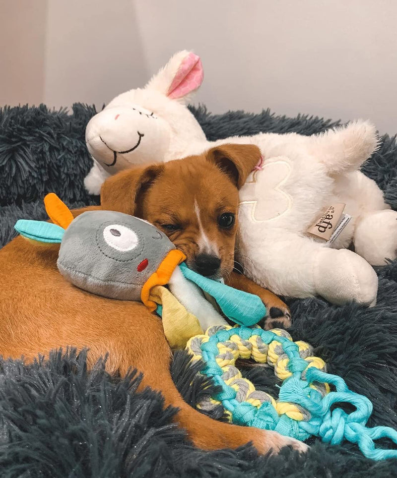 ALL FOR PAWS Heartbeat Replacement Soother Heartbeat Simulator for Puppy Sleep Aid Calming Plush Toys Heart Replacement - PawsPlanet Australia