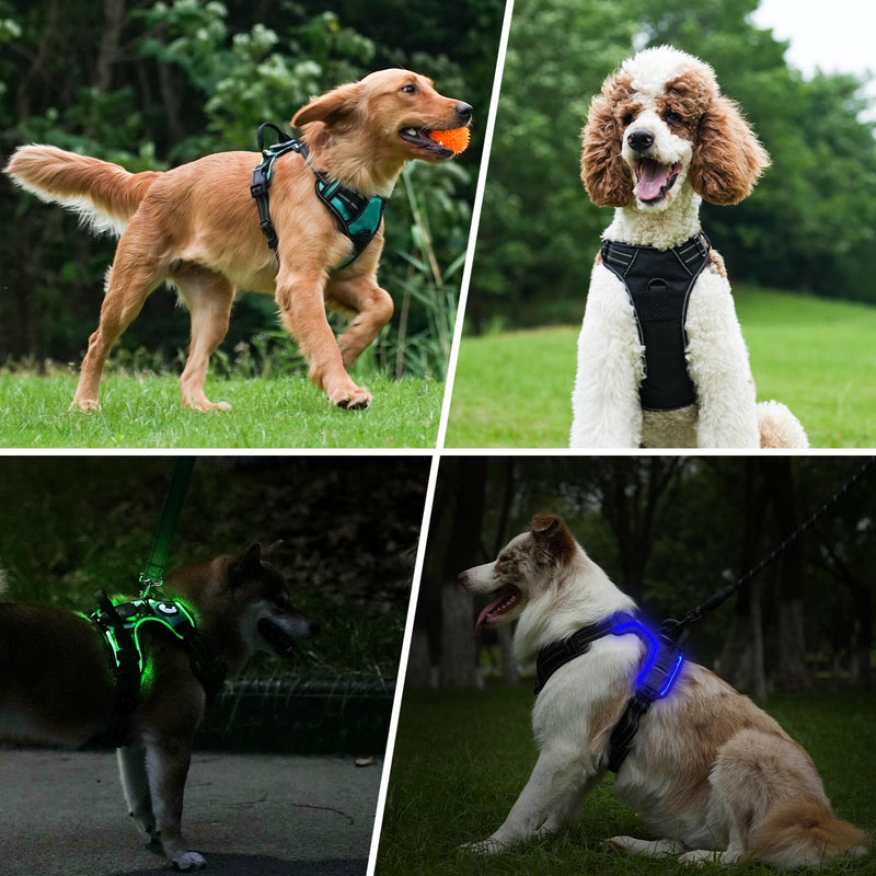Taglory Light Up Dog Harness, Rechargeable No Pull Dog Vest with 3 Lightning Modes, Reflective Dog Harness with 2 Leash Clips & 4 Adjustable Slide Strips for Medium Dogs, Black-Blue, M - PawsPlanet Australia