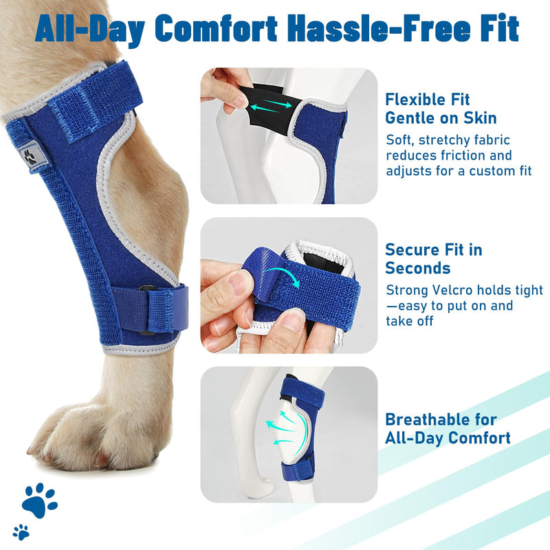 Dog Leg Braces for Back Leg- Hock and Ankle Joint Support Brace for Rear Legs with 2 Metal Strips, Reflective Edging for Sprain, Injury, Arthritis, Wound Recovery,Blue,XL