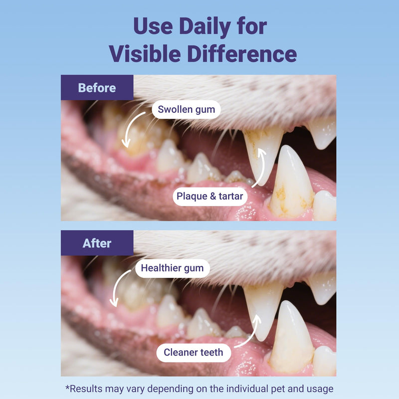 Dog Toothbrushes for Medium and Large Dogs&Cats, 2pcs, Ultra Soft Bristle, Long Durable Handle, Pet Tooth Brush and Dental Care Kit, Super Thin Bristle Gentle on Gum for Sensitive Pets, Red Violet