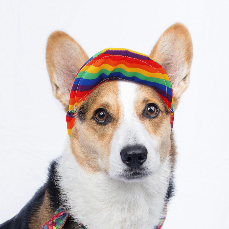 Dog Sun Hat with Ear Holes, Rainbow Dog Baseball Cap Adjustable Pet Visor for Summer Breathable All Season Outdoor Protection Gear for Small Medium Large Cat Puppy (S) S - PawsPlanet Australia