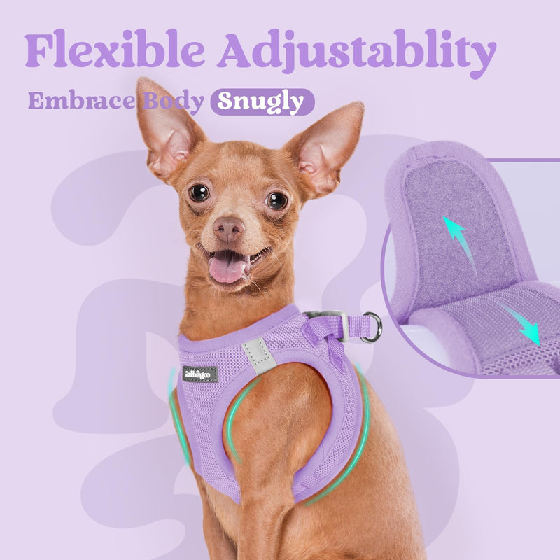 rabbitgoo Dog Harness Small Dog, Step-in Soft Mesh Puppy Harness with Reflective Strips, Lightweight Breathable Pet Vest for Walking Training, Light Purple, M