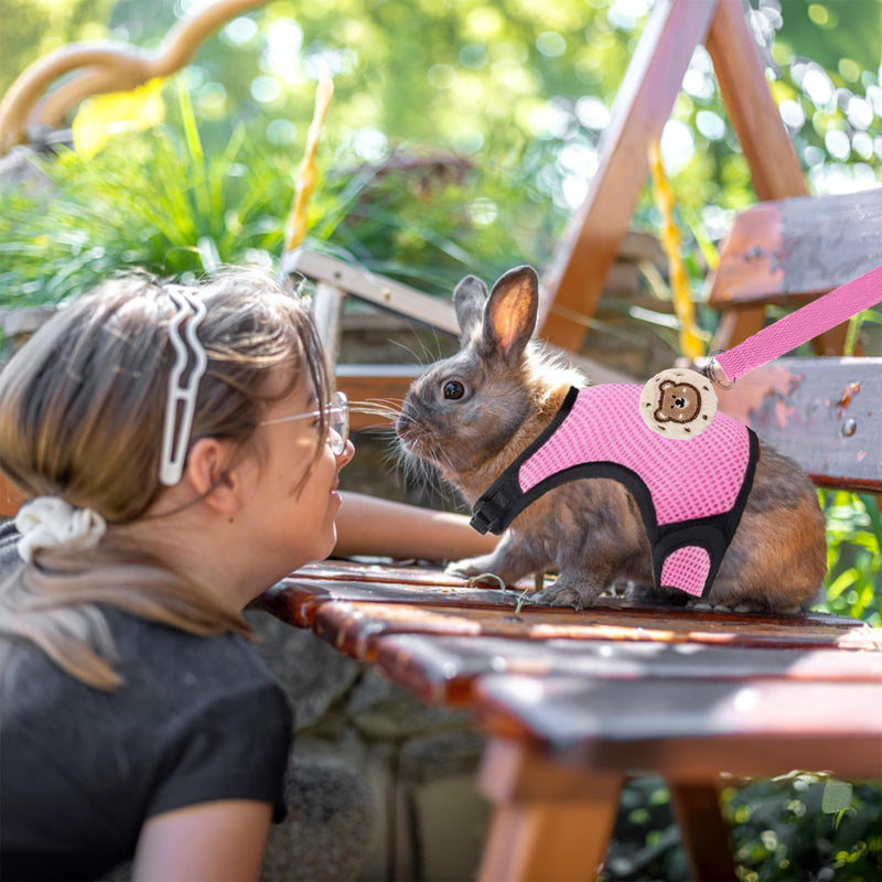 4-Pack Rabbit Harness and Leash Set, Rabbit Leash and Harness Set Escape Proof, Adjustable, with 2 Pendants, for Ferrets Pigs Puppies Small Animals Pets Outdoor Walking Supplies (Pink/Blue) - PawsPlanet Australia