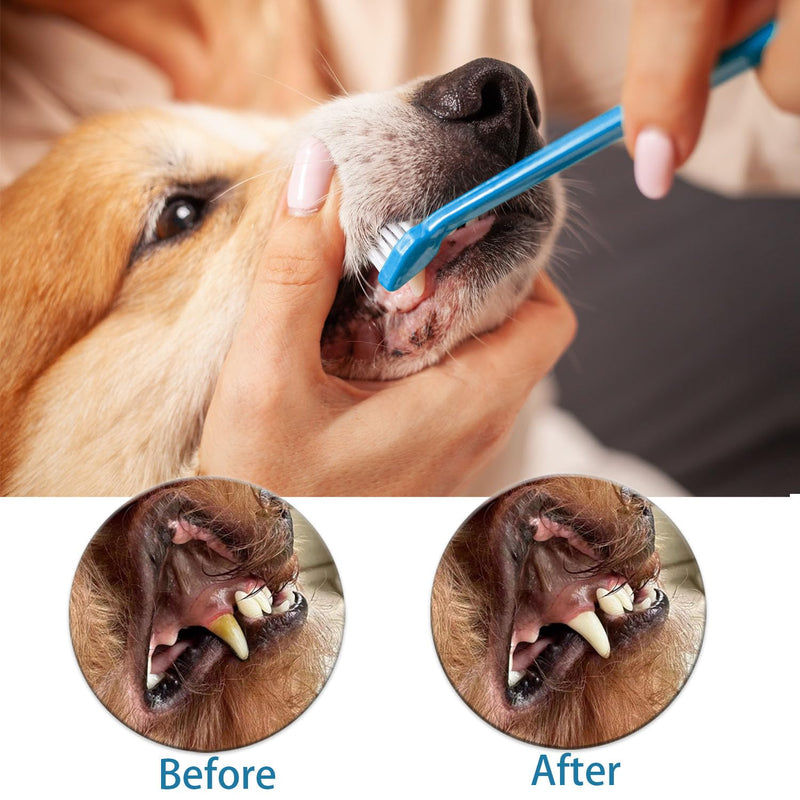 Dog Toothbrush Set, Triple Head Dog Toothbrushes, Double Head Toothbrush,Finger Rubber Toothbrushes,Multi-Angle Dental Cleaning Brushes for Dog Cat Oral Dental Health - PawsPlanet Australia