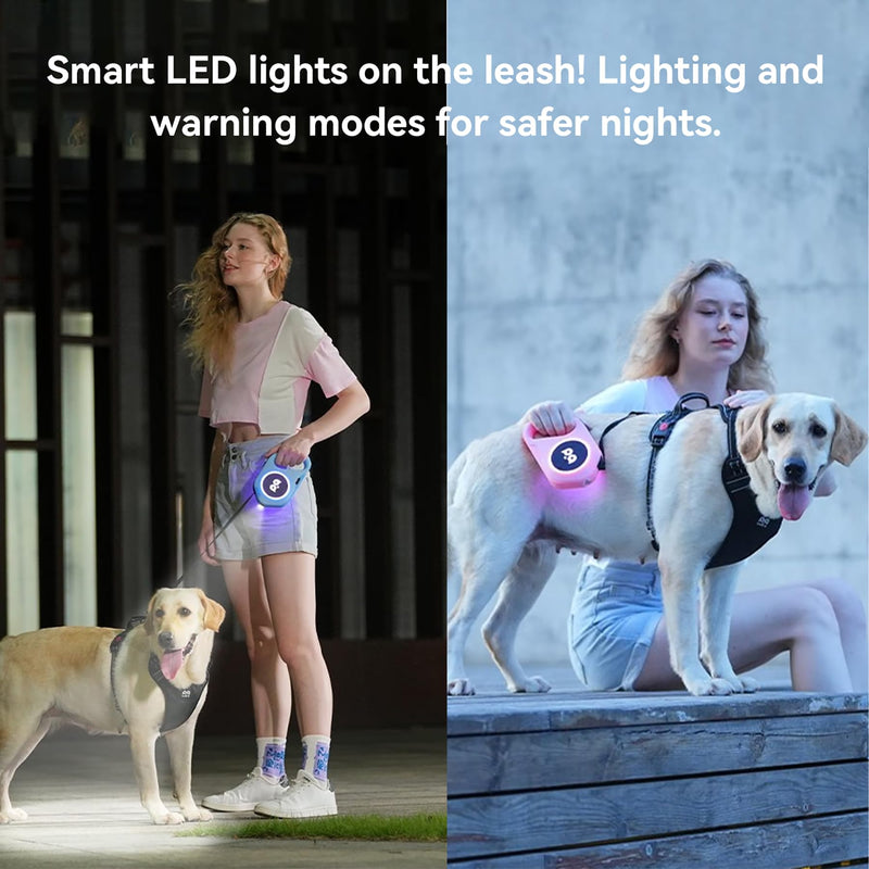 Retractable Dog Leash with Light, Pet Lead, 12-Color Ambient Lighting, Retractable Pet Lead with 360° Anti-Tangle Feature, 5-Meter Length Weighing Up to 40 kg (Blue, 2.0) Blue