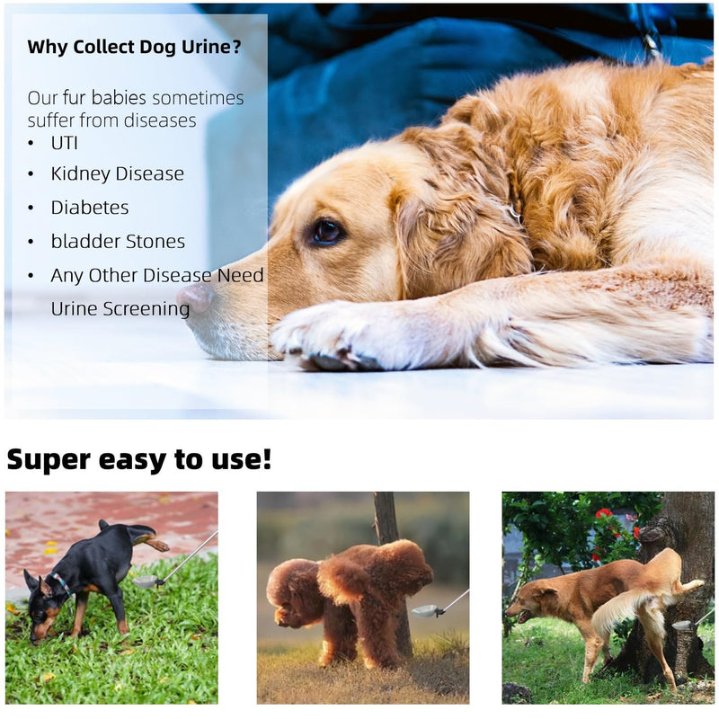 Dog Cat Urine Sample Collector- Telescopic Long Handled Dog Urine Dog Pee Sample Catcher Urine Stick for Small Large Female Dogs Extends to 42" (Gray_42) Gray_42 - PawsPlanet Australia