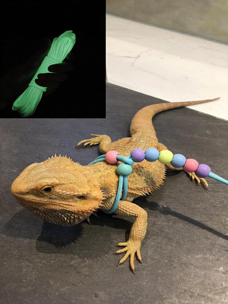 Bearded Dragon Lizard Leash Harness Dinosaur Wing Lizard Harness Leash for Bearded Dragon Lizard Reptiles Leash Nylon Rope for Crested Gecko Chameleon Guinea Pig Ferrets Hamster Rats (Green) green - PawsPlanet Australia
