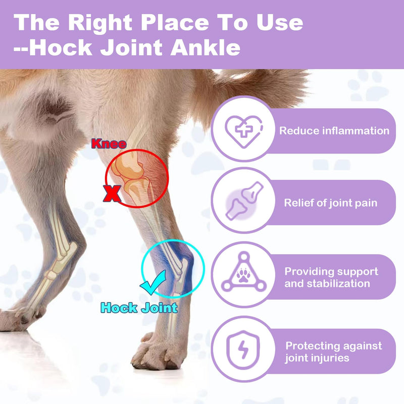 Dog Leg Brace for Back Leg Rear Leg Hock Ankle, Dog Hip Brace for Sprains, Torn Ligaments and Post-Op, Strong Support Help, Lightweight, Promotes Faster Recovery and Reduce Pain, 1 Pair, Large Violet - PawsPlanet Australia