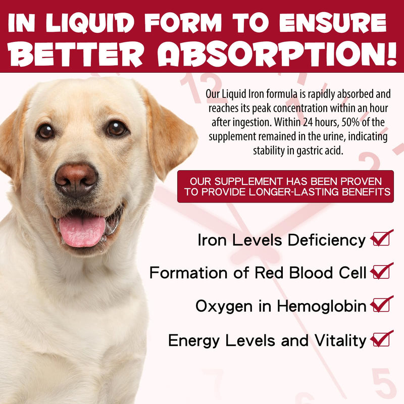 Iron Supplements for Dogs, Liquid Iron for Dogs with Folate and B12 Supports Anemia, Supplement for Anemia in Dogs, Promotes Blood Health 2 oz - PawsPlanet Australia