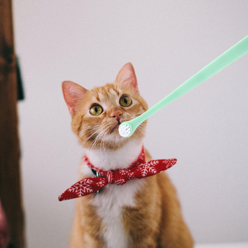 Hemobllo 6pcs√ºcke Partial Wear√ºf Cat Puppy Toothbrushes with Ergonomic Non-Slip Handle Soft Bristles for Effective Dental Care for Small Dogs and Cats for√ºr