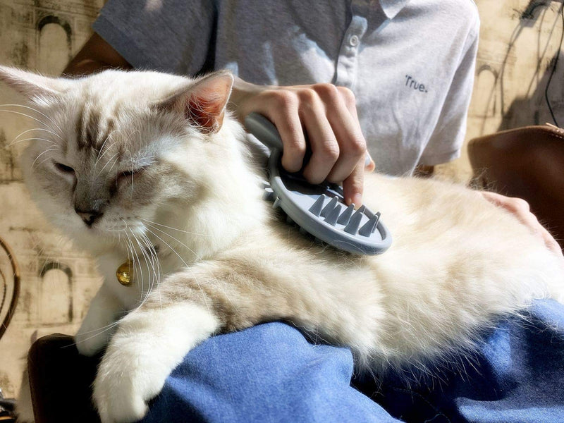 Cat Brush Shedding Grooming, Soft Massage Cat Tongue Brush, Licking Your Cat Like a Mama Cat to Comfort, Surprise Pet Gifts silver gray - PawsPlanet Australia