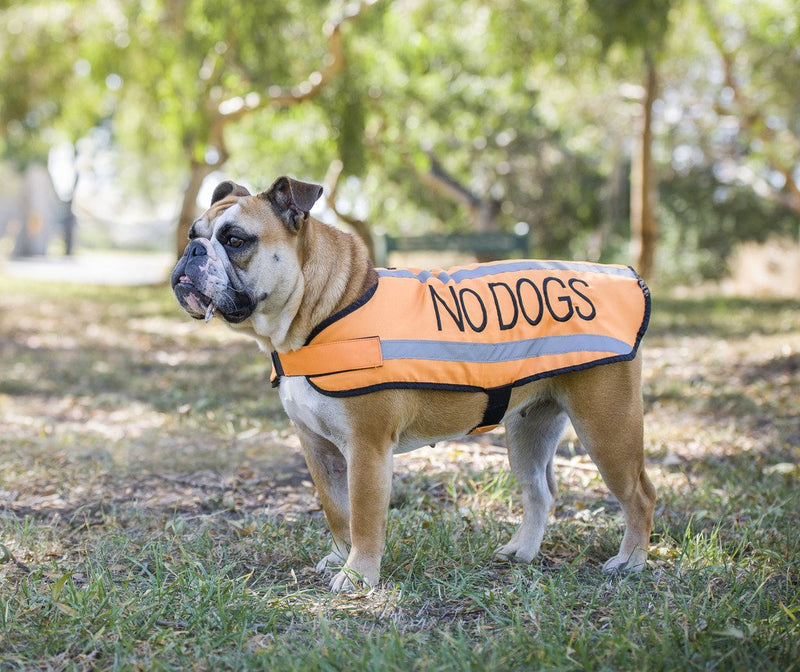Dexil Limited NO Dogs Orange (Not Good with Other Dogs) Warm Dog Coats S-M M-L L-XL Waterproof Reflective Fleece Lined Prevents Accidents by Warning Others of Your Dog in Advance (M-L Back 17" (43cm)