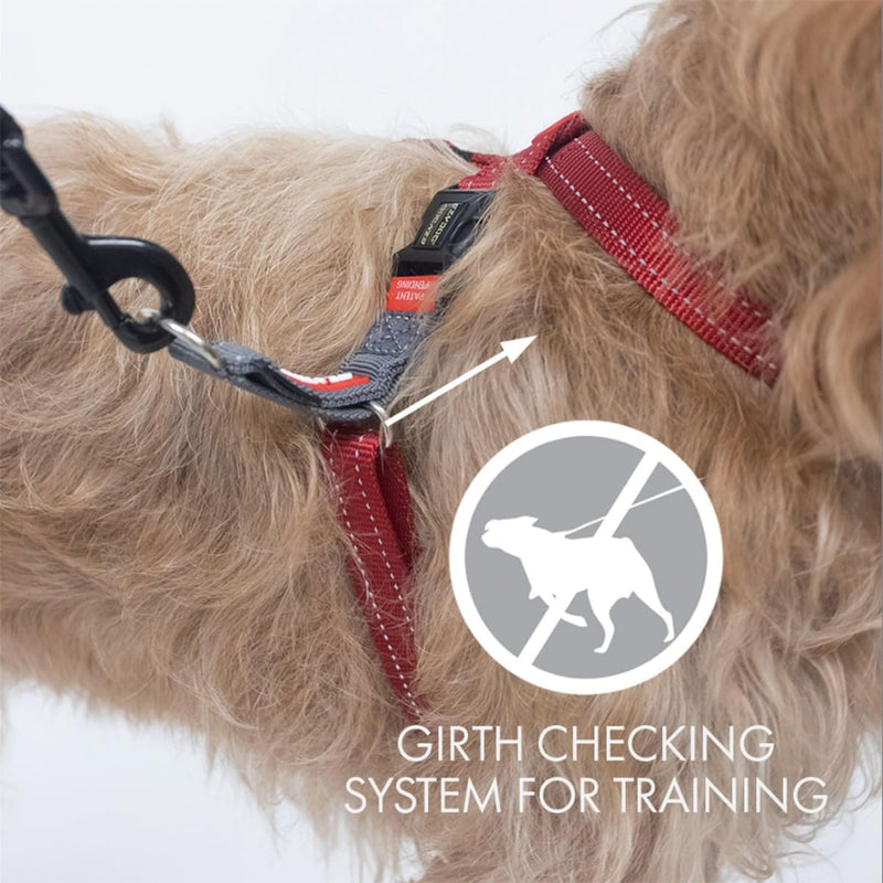 EZYDOG Crosscheck Training Harness | Anti Pull Harness, Dog Harness for Small, Medium and Large Dogs, Dog Training Accessories, Reflective, Adjustable Size (S, Black) S