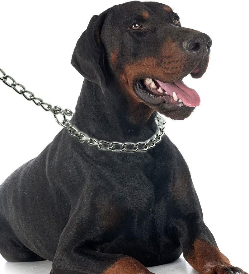 American Made Stainless Steel Dog Chain Collar Slip and Martingale Chain for Dogs Chew Proof Chain for Dogs Anti Winding, Heavy Duty Dog Chain Collar - Made in USA with Smooth Chrome Finish Small 16'' - PawsPlanet Australia