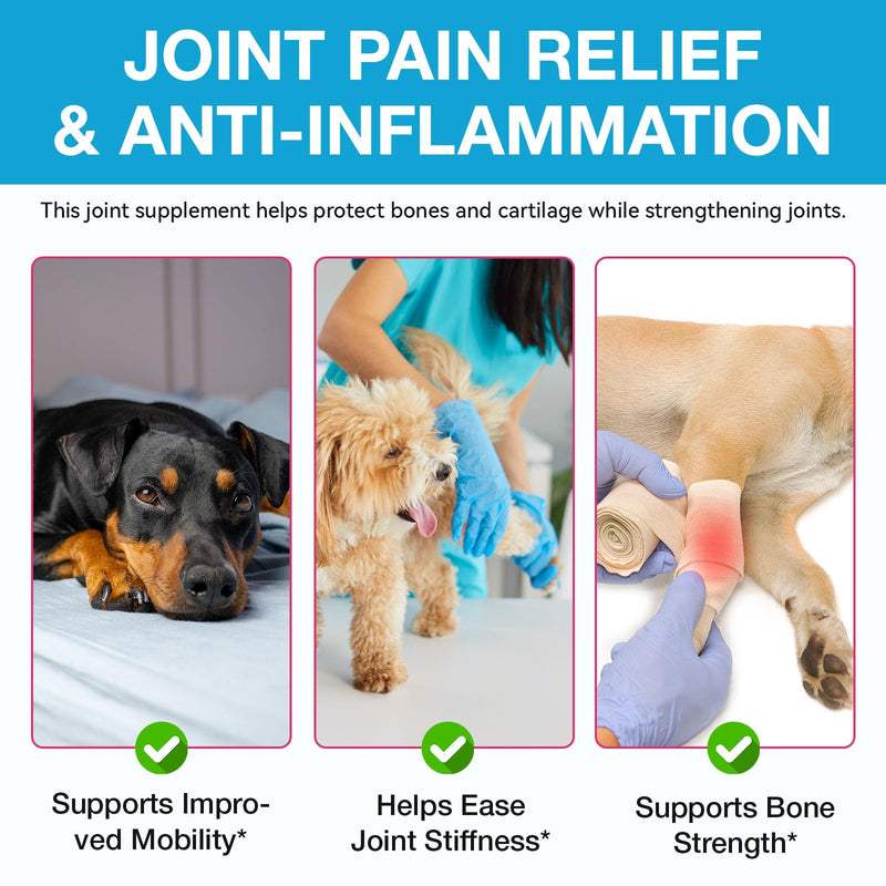 Pain Relief for Dogs, Hip & Joint Glucosamine Drops for Dogs, Chondroitin Drops for Dogs, Natural Formula with Essential Nutrients for Active & Aging Dog, 60ml - PawsPlanet Australia