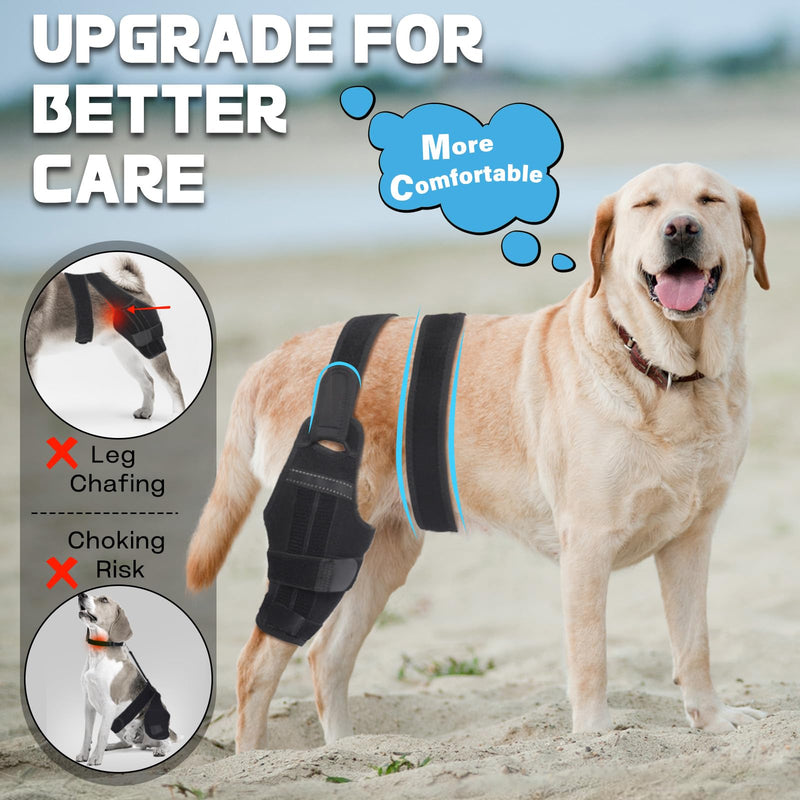 Adjustable Dog ACL Knee Brace – Rear Leg Support for Cruciate Ligament Recovery, Arthritis & Joint Pain Relief (Left,XL) XL LeftLeg - PawsPlanet Australia