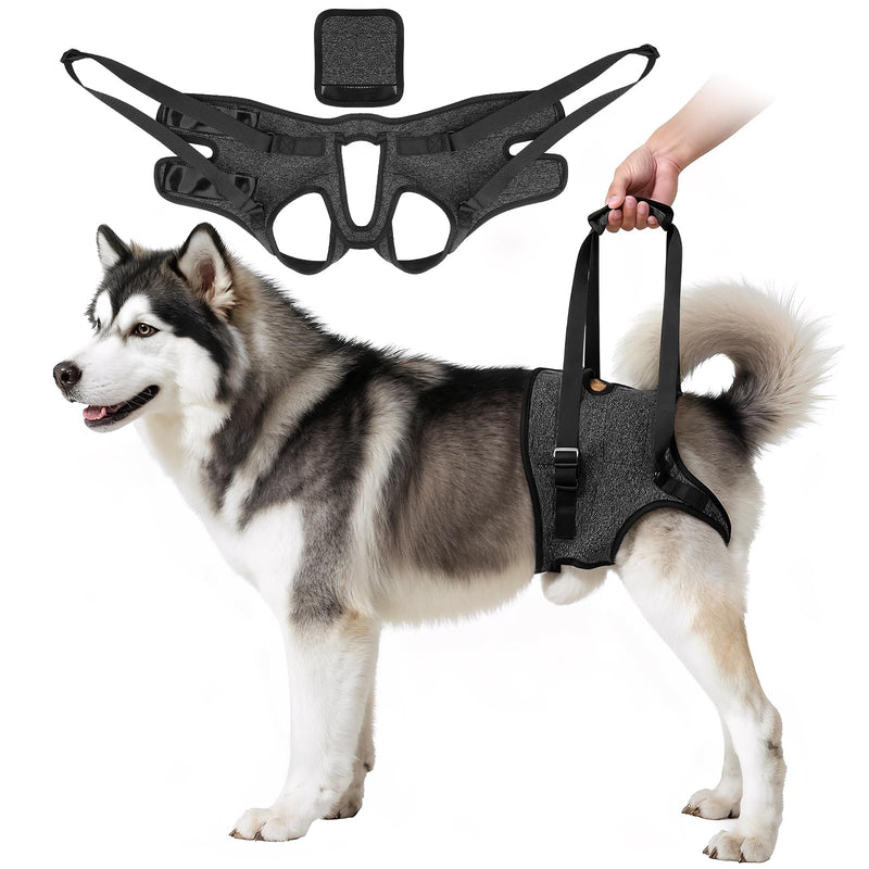 Dog Lifting Harness for Back Legs, Walking Assistance Rehabilitation Harness with Padded Handle Adjustable Support Sling Hind Leg Brace, Mobility Aid for Injured, Disabled, Elderly Dogs M