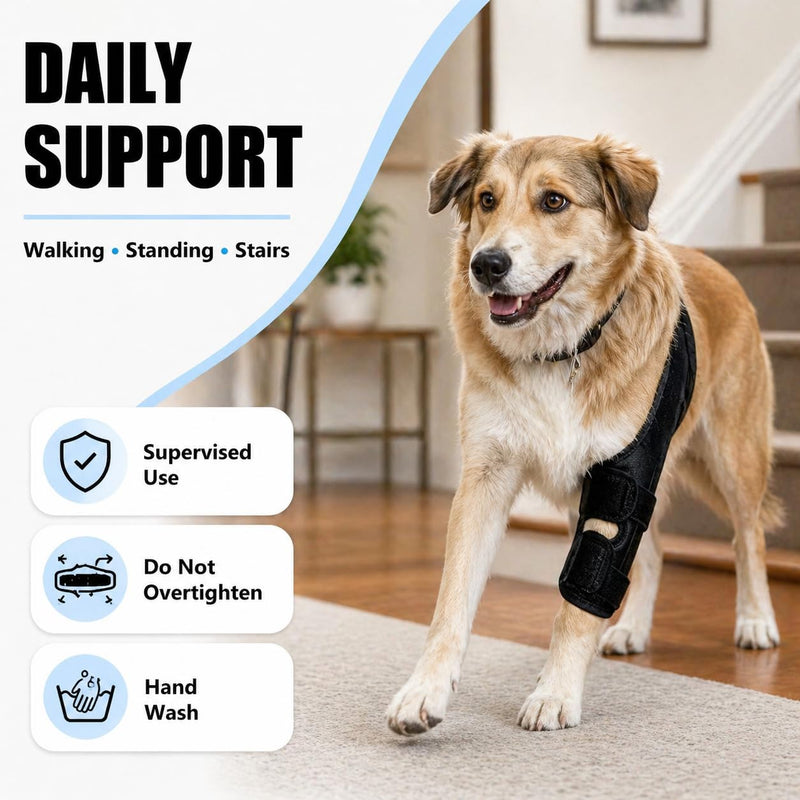 Dog Knee Brace for Hind Leg Support, Adjustable Canine Knee Brace for ACL/CCL Stability Support, Breathable Neoprene Leg Brace with 2 Side Stabilizers (M) M