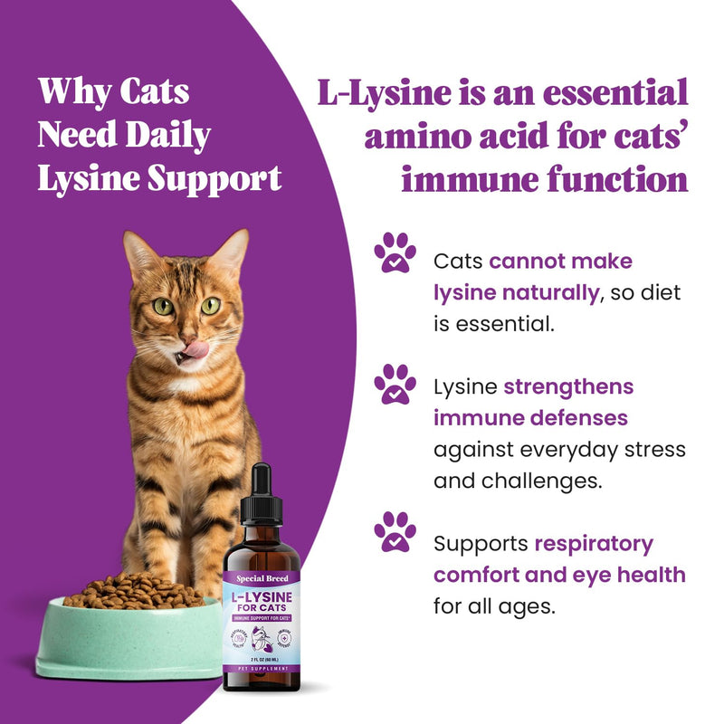 L-Lysine Supplement for Cats & Kittens – Immune Support Liquid for Feline Respiratory Health, Sneezing, Runny Nose & Watery Eyes – 250mg Lysine Cat Drops with Vitamins Complex – Chicken Flavor