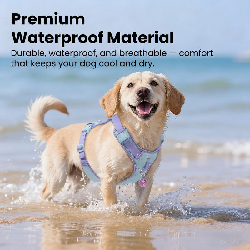 No Pull Dog Harness for Small Dogs & Puppies, Lightweight Escape Proof Adjustable Pet Harness with Front & Back Clip, Reflective Soft Vest with ID Tag, for Running Walking Hiking, Blue Baby Blue XS (Chest:13-18") - PawsPlanet Australia