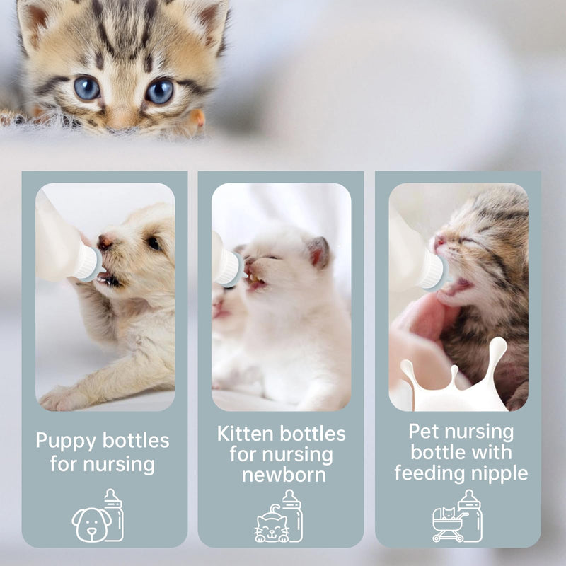 5Pack Kitten Bottle for Nursing Puppy Milk Kitten Bottles Feeding Kit Silicone Nipple for Newborn Pets Kittens, Puppy,Squirrel (Grey) - PawsPlanet Australia