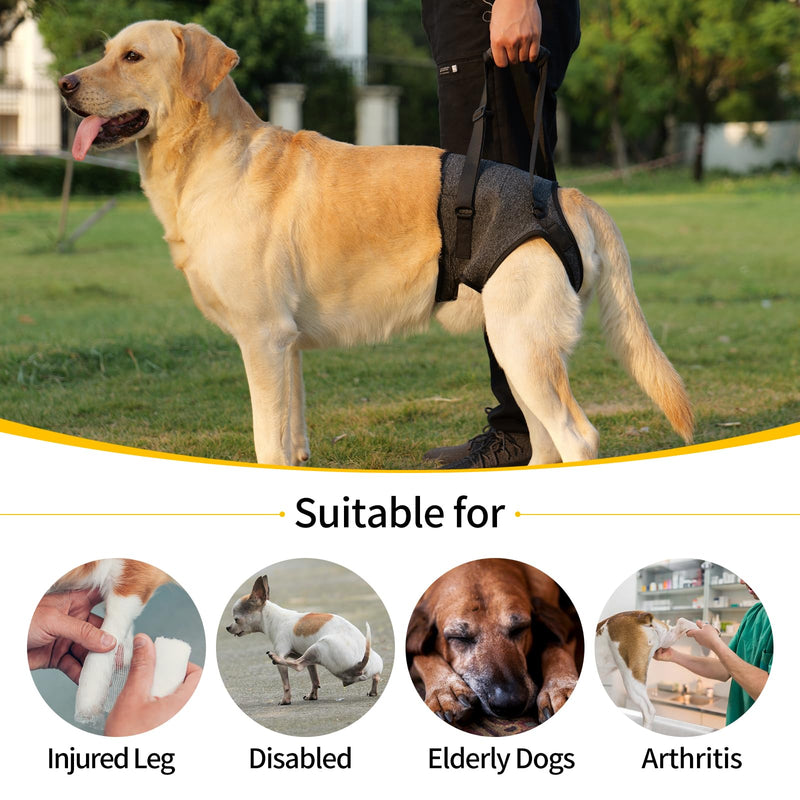 HEYWEAN Dog Lifting Harness Leg Support for Back Legs Dog Slings for Small Medium Large Dogs Leg Brace Adjustable Lift Harness Hind Legs Support Strap for Injured Disabled Elderly Dogs Walking Aid Grey L