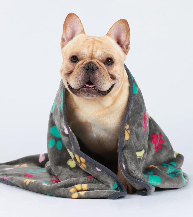 Luciphia 1 Pack 3 Blankets Fluffy Premium Fleece Pet Blanket Flannel Paw Bone Printed Throw for Dog Cat(Medium 30"x20", Grey) 30x20 inch (Pack of 3) Grey Bone - PawsPlanet Australia