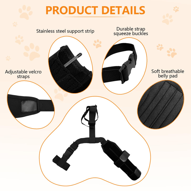 Adjustable Dog ACL Knee Brace - Hind Leg Support, Ligament Recovery, Cruciate Care - Large/Medium Sizes - Extra Stabilizers, Comfortable Wrap with Straps(Black M Size)