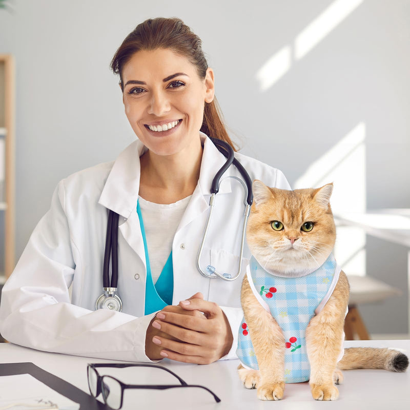 Avont 2 Pack Cat Recovery Suit - Kitten Onesie for Cats After Surgery, Surgical Spay Recovery Suit Female for Abdominal Wounds or Skin Diseases Protection -Cherry/Strawberry(M) Cherry/ Strawberry Medium