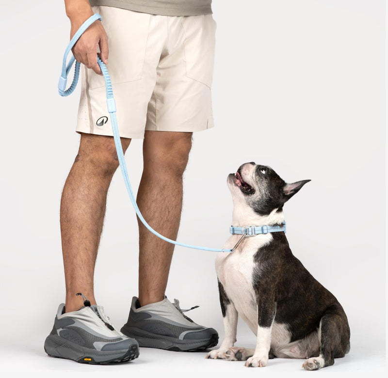 Ultra Comfort Dog Leash Soft Padded Comfortable Handle Alloy Clip Shock Absorbing Bungee Leash for Outdoor Walking Jogging for Small Medium Large Dogs Up to 110lbs (Midnight Black, S) Midnight Black - PawsPlanet Australia