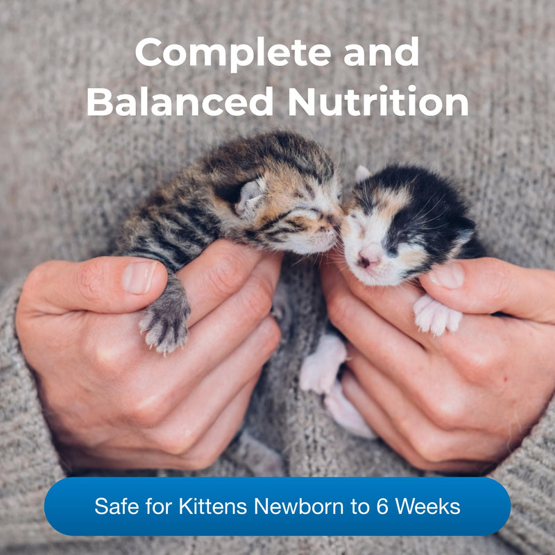 Pet-Ag KMR Kitten Milk Replacer Powder - 12 oz, Pack of 2 - Powdered Kitten Formula with Prebiotics, Probiotics & Vitamins for Kittens Newborn to Six Weeks Old - Easy to Digest