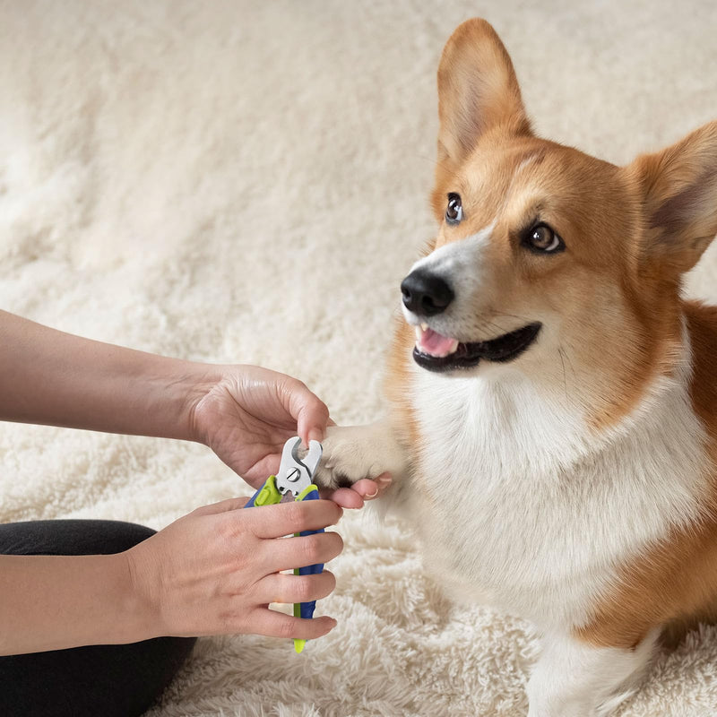 Dog Nail Clippers with Nail File, Professional Pet Nail Trimmers with Safety Guard, Avoid Over Cutting, Grooming Razor for Medium and Large Dog and Cat, Blue Yellow - PawsPlanet Australia