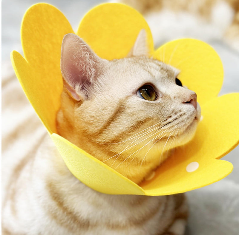 Amexo 3-Piece Cat Protective Collar - Soft, Anti-Bite, Adjustable, Felt, Pink, Yellow, Orange