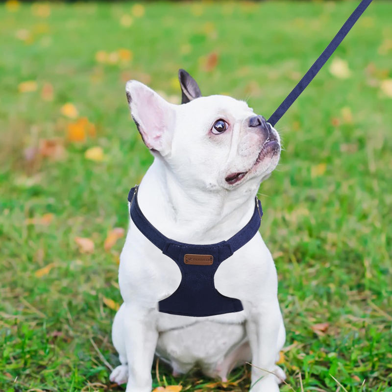Dog Harness and Leash Set, S No Pull Adjustable Puppy Harness with Multifunction Denim Blue Dog Leash and Collar, Soft No Choke Escape Proof Pet Harness Vest for Small Dogs and Cats (Denim Blue, S)… S(9-17.5lb)
